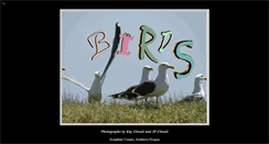Desktop Screenshot of bird-photographs.com