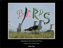 Tablet Screenshot of bird-photographs.com